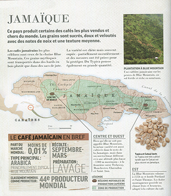 Café Jamaïque